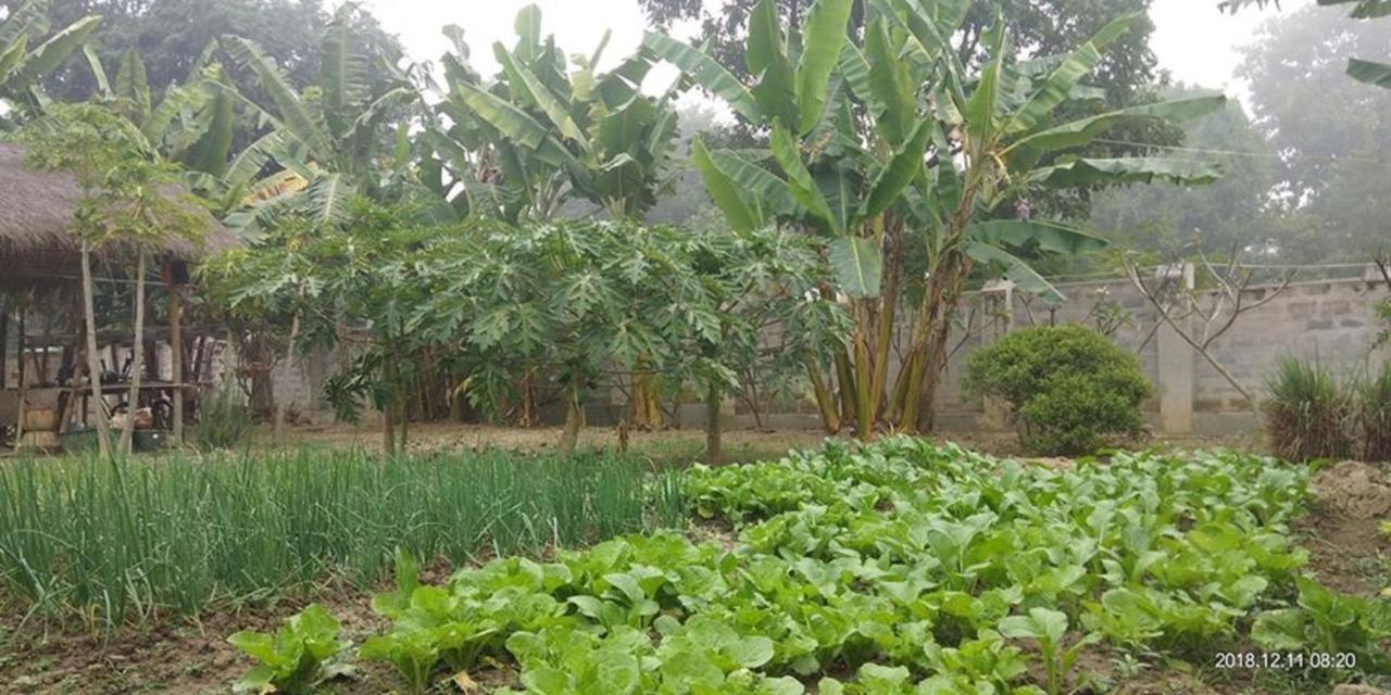 Blue Vanda Lodge Nyaung Shwe Bagian luar foto